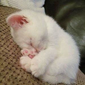 Meet your Posher, Inaaya